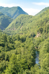 Fototapeta na wymiar Tara river bank, canyon and mountains covered with green forest