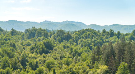 Distant mountains covered with green forest at sunrise