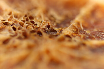 Close up of a pumpkin skin as it rots