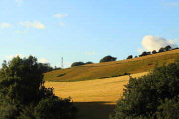 Corn fields within Restormel Manor grounds