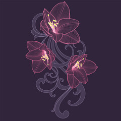 Hand-drawing floral background with flower amaryllis. Vector illustration.