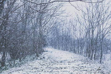 SnowPath © Raul