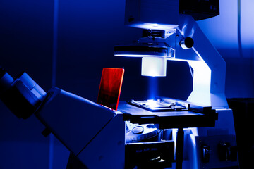 mikroskop fluorescencyjny z kontrastem fazowym