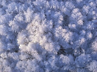 Fototapeta premium Winter texture: hoar frost on the ice.