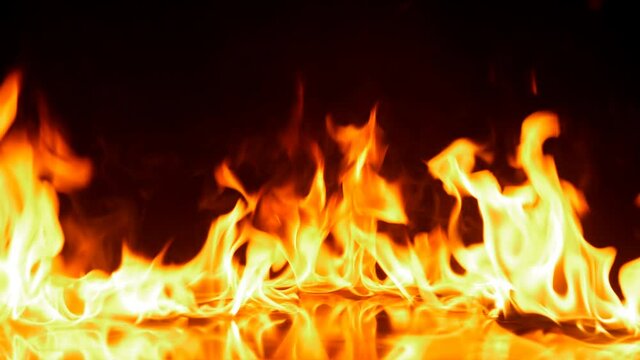 4K Fire Flames Igniting And Burning  - Slow Motion. Real fire. A line of real flames ignite on a black background Ultra HD. Transparent background. PNG + Alpha