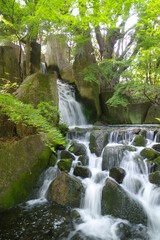 緑に囲まれた日本庭園の滝