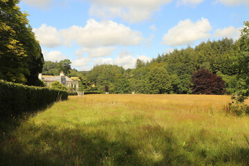 Fototapeta premium Golden wheat beneath the gaze of Restormel manor
