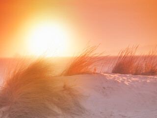 Sunset on the sand beach with beach beachgrass