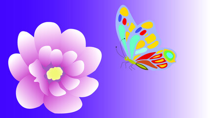 Fototapeta na wymiar Soft color flower and butterfly isolated on background. Greeting card.