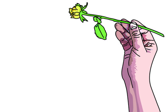 黄色い薔薇 Photos Royalty Free Images Graphics Vectors Videos Adobe Stock 黄色い薔薇 Photos Royalty Free Images Graphics Vectors Videos Adobe Stock