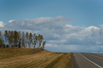 Highway landscape with trees and cloudy skies