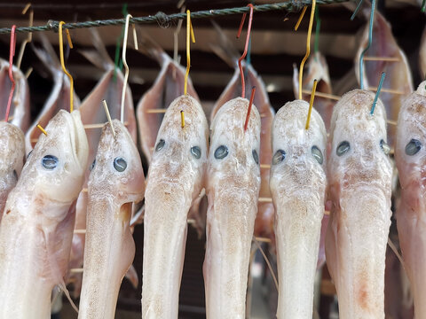 Salty Baikal delicacy-golomyanka fish.