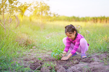 Naklejka na ściany i meble Asian child cute or kid girl planting trees or forest and people plant papaya tree on nature meadow green grass and soil for natural fertility growth and food with agriculture on summer warm sunlight