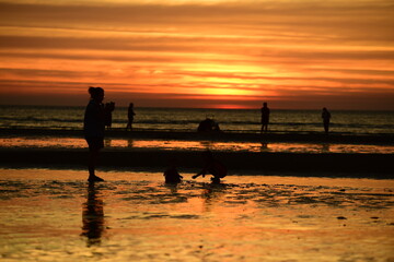 Beautiful golden yellow sky and sun The view of the beach, the beach and the sun loungers are rising. Beautiful golden yellow sky and sun	