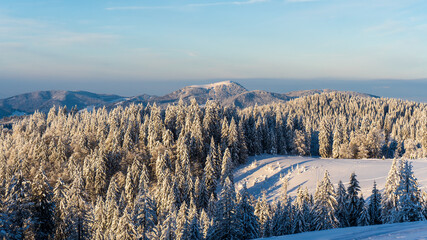 Winter im Schwarzwald am Herzogenhorn