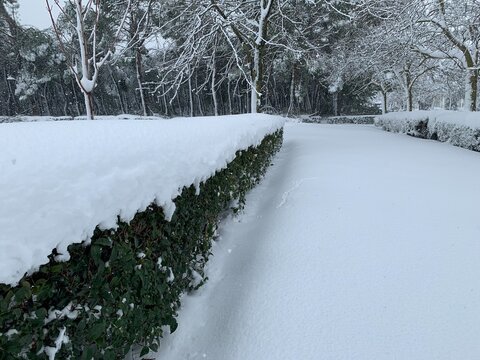 Liana park covered with snow after a storm
