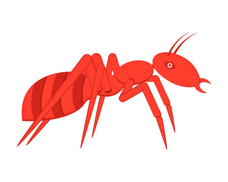 Red ant logo design. Vector illustration and clipart in cartoon style. Side view. 