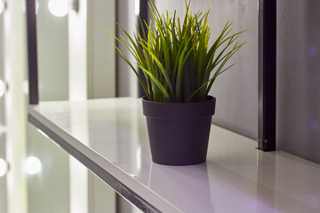 Interior home plants artificial on the white shelf