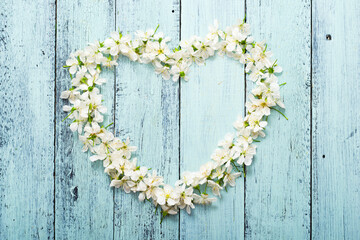 heart shape cherry flowers on old blue painted wooden table background, top view