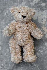 Closeup Brown teddy bear on cement floor