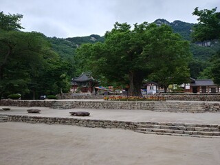 대한민국 전라북도 부안군 내소사