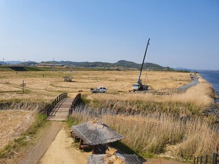 대한민국 충청남도 서천군 신성리 갈대밭