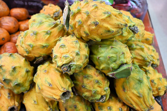 Yellow Dragon Fruit