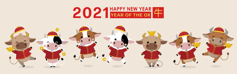 Happy Chinese new year greeting card. 2021 Ox zodiac. Cute cow in red costume and gold money. Animal holidays cartoon character. Translate: Ox. -Vector