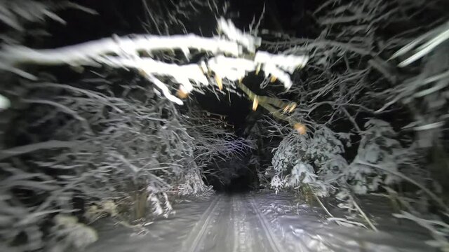 POV driving through the night snowy forest in winter. Beautiful landscape of winter forest at night in the light of car headlights. Winter travel