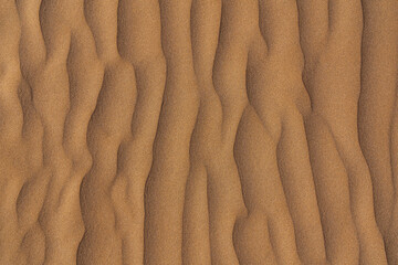 Fototapeta na wymiar Sand dunes, desert patterns background