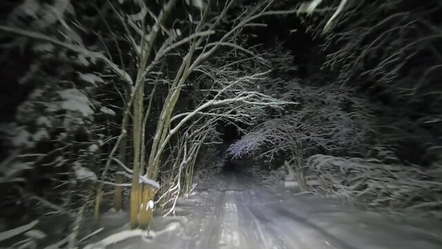 POV driving through the night snowy forest in winter. Beautiful landscape of winter forest at night in the light of car headlights. Winter travel