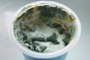 Fototapeta na wymiar mold on dairy food