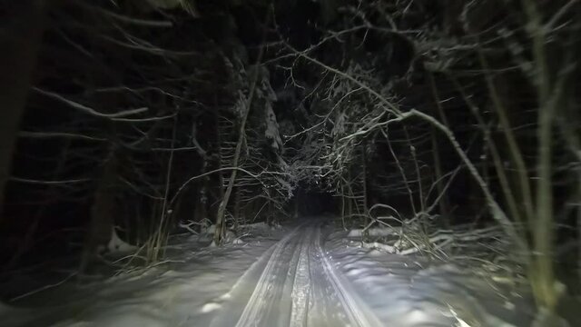 POV driving through the night snowy forest in winter. Beautiful landscape of winter forest at night in the light of car headlights. Winter travel