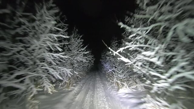 POV driving through the night snowy forest in winter. A tunnel of trees and snow. Beautiful landscape of winter forest at night in the light of car headlights. Winter travel