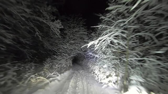 POV driving through the night snowy forest in winter. A tunnel of trees and snow. Beautiful landscape of winter forest at night in the light of car headlights. Winter travel
