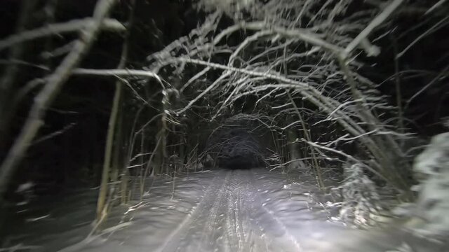 POV driving through the night snowy forest in winter. A tunnel of trees and snow. Beautiful landscape of winter forest at night in the light of car headlights. Winter travel
