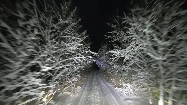 POV driving through the night snowy forest in winter. A tunnel of trees and snow. Beautiful landscape of winter forest at night in the light of car headlights. Winter travel
