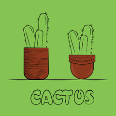 cactus Vector illustration