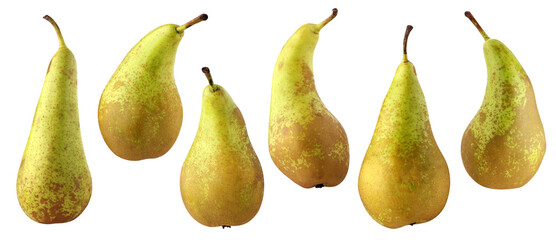 pears isolated on a white background with a clipping path. pear conference.