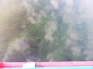 Algae and clouds in the Volga River. And there's a fog over the river