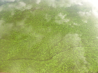Algae and clouds in the Volga River. And there's a fog over the river
