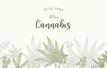 Collection of cannabis background set with green.Editable vector illustration for website, invitation,postcard and sticker