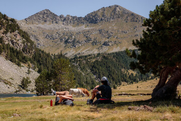Dos jovenes senderistas de origen caucásuco estàn descansando en una pradera con montañas de fondo y algo de ganado en el parque nacional de aiguestortes en catalunya cerca del estany llong en verano.