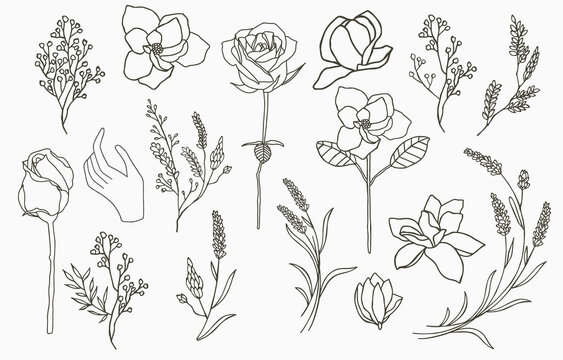 Line object collection with hand,magnolia,rose,lavender,jasmine,leaf,flower