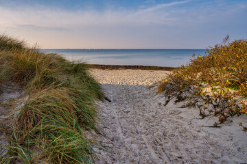 Fototapeta na wymiar Footprints on a sandy beach. Photo from Lomma Beach, Scania county, Sweden