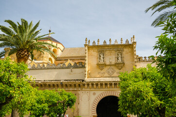 Mosque garden in Cordoba, Spain.