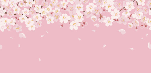 Obraz na płótnie Canvas テキストスペース付きシームレスな桜の背景