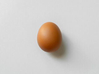 chicken egg isolated on white background.