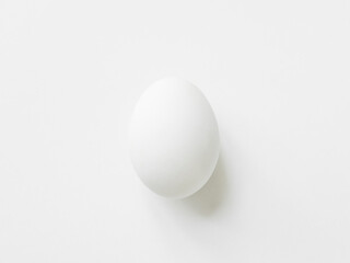 chicken egg isolated on white background.