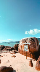 Travel on islands, coconut trees, beaches and the sea.